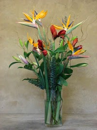 Highgate Florist and Growers 1081864 Image 1